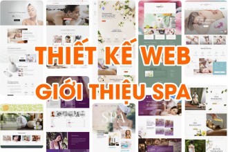 Thiết Kế Web SPA